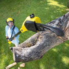 Seasonal Cleanup (Spring/Fall) in Clearfield, PA